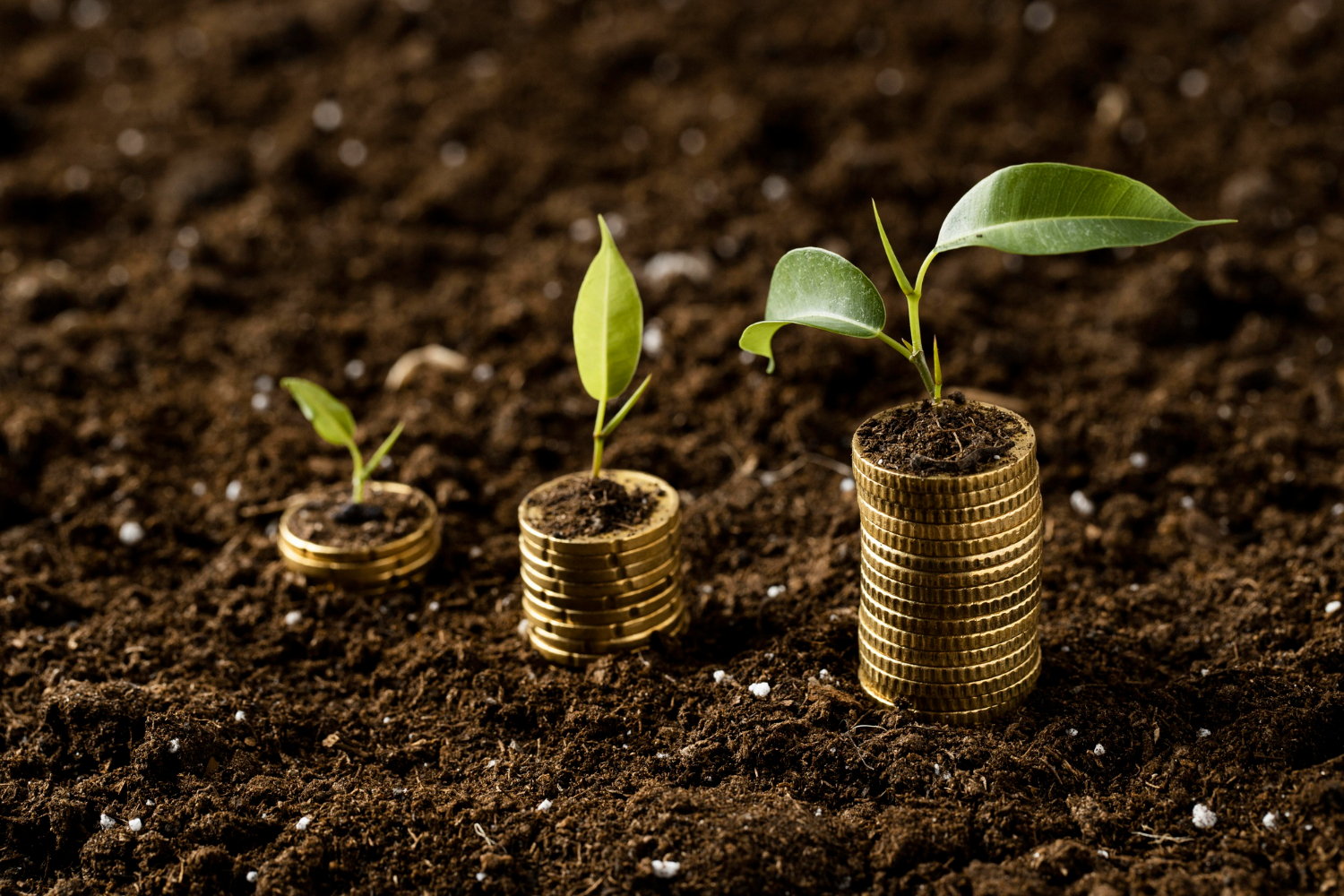 Reforma Tributária e agronegócio o que muda na cobrança de impostos rurais em 2026