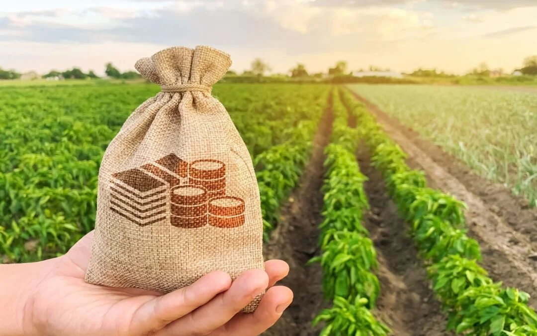 📝 Crédito de ICMS no agro: veja como aproveitar