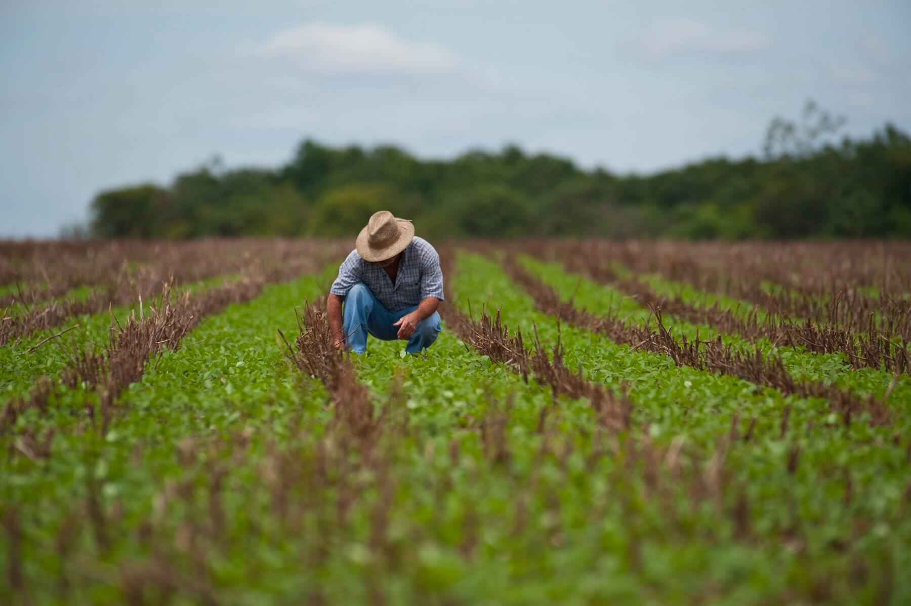 🌾 DITR 2026: prazo já começou em agosto